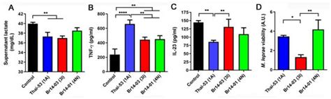 Genomic and Phenotypic Variations Among Thai-53 and Mycobacterium ...