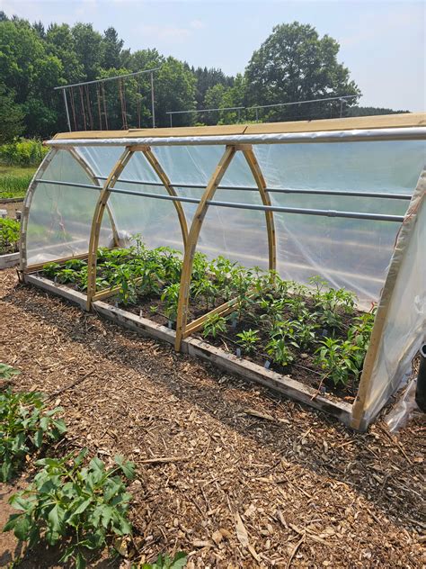 Raised bed covers - General Gardening - Growing Fruit