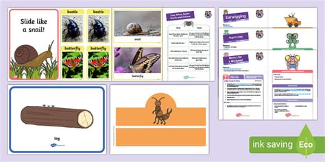 Level 1 Week 22 - Minibeasts Weekly Lesson Pack - Twinkl