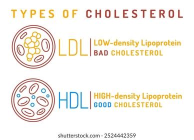 Image result for HDL Components Code