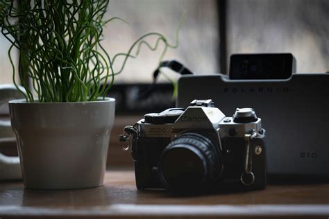 Old Canon Camera 的图像结果