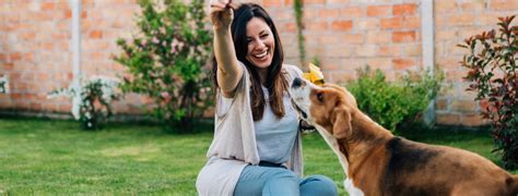 Animal Hospital in Pasadena, MD | Huffard Animal Hospital