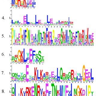 Rezultat imagine pentru Consensus Sequence Example