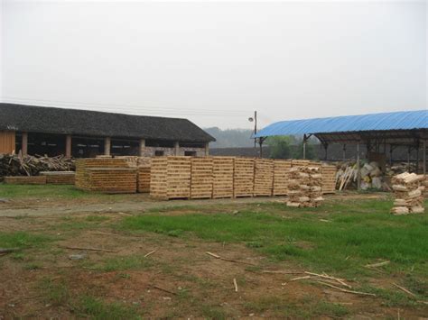 湖南省永州肖氏木材加工厂-中国木业网