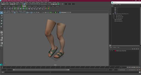 3D model Female Legs in Flip-Flops | 3D Molier International