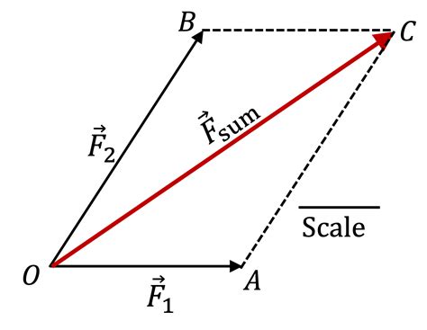 Adding Two Force Vectors 的图像结果