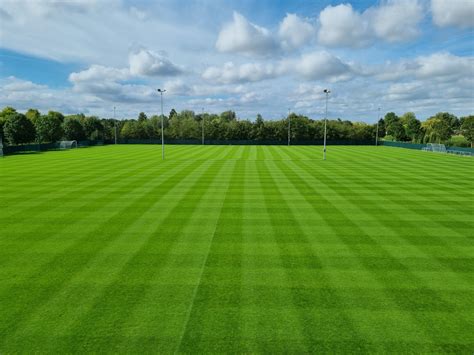 Crowned Sportsfield 的图像结果