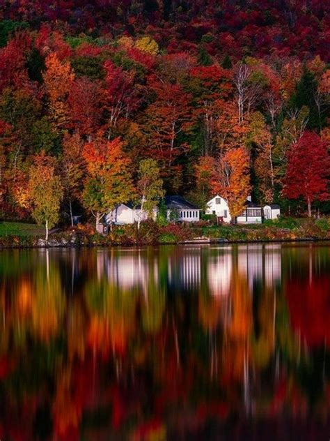 Fall 的图像结果