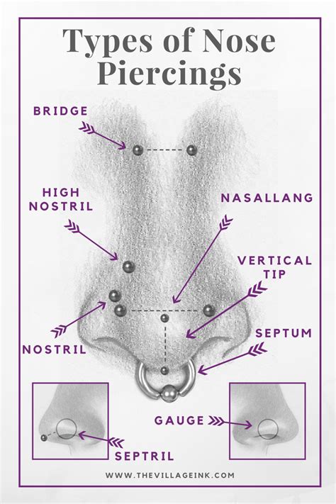 Types Of Nostril Piercing