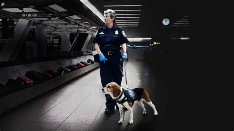 To Catch a Smuggler on Disney+ Qatar | English French (Parisian ...