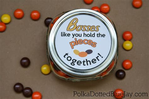 You Hold The Pieces Together - Thank You Gift - Polka Dotted Blue Jay ...
