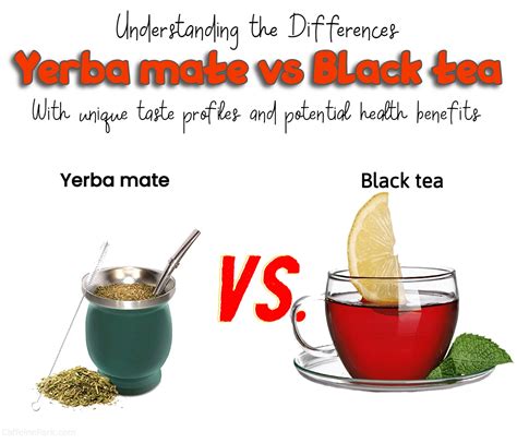 Yerba Mate vs Black Tea: What's the Difference?