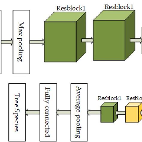 ResNet-18 model structure. | Download Scientific Diagram