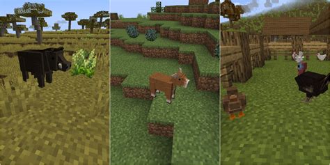 Image result for Best Copy Pre-Built Farm Mod Java Edition