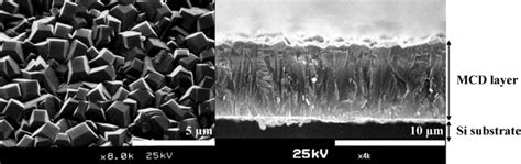 Sensors | Special Issue : DNA Sensors and Biosensors