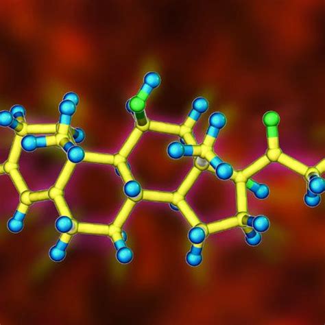 Decoding Bitterness: What Makes Tea Bitter