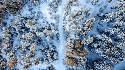 Wallpaper winter forest, road, aerial view, snow hd, picture, image