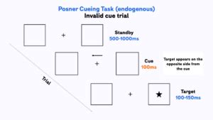 Posner cueing task - Free online template and explainer guide