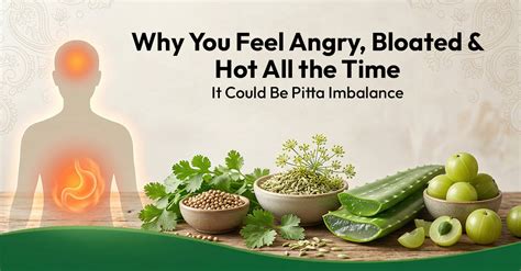 Pitta Imbalance: Why You Feel Angry, Bloated & Hot All the Time ...