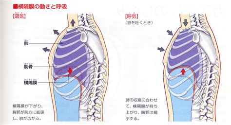 Image result for Structures of Pattern