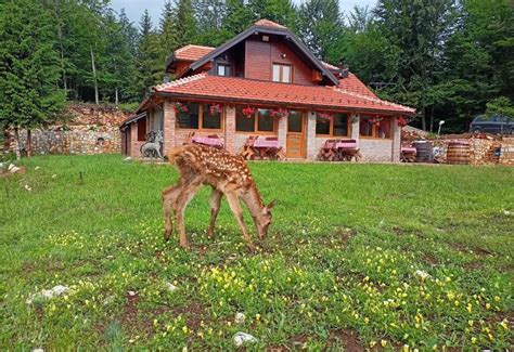 Kod Popaja (Bajina Bašta, Srbija) | Turistički Centri, Hoteli i ...