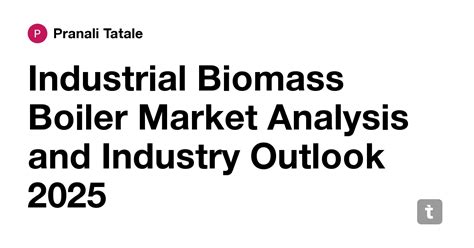Industrial Biomass Boiler Market Analysis and Industry Outlook 2025 ...