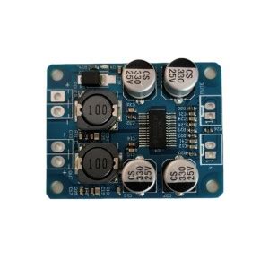 Buy XH-M542 TPA3116D2 100W Mono Channel Digital Audio Power Amplifier ...