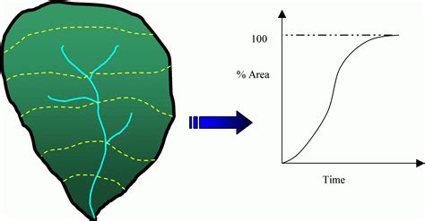 Image result for SCS Triangular Unit Hydrograph