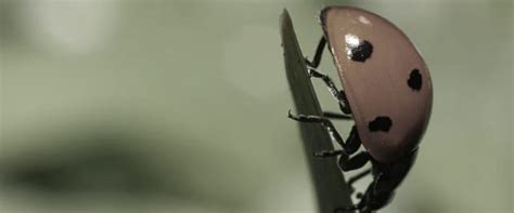 30 Superb Summer Camp Activities - Twinkl USA - Twinkl