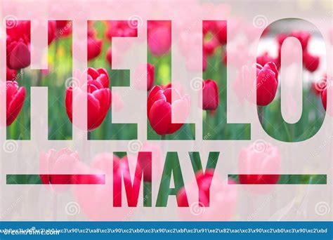 Banner Hello May. Welcome Picture. New Month. Warm Month. the Month of ...