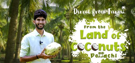 Hayyan Oils – HAYYAN