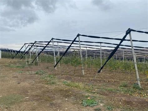 Agricultural Greenhouses - A - Roof Shade Net House (Anti-Hail) with ...