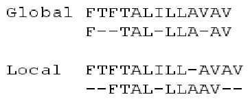 Image result for Local Sequence Alignment