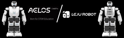 LEJU ROBOT – REES52