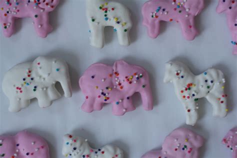 pink and white frosted circus animal crackers | Frosted animal crackers ...