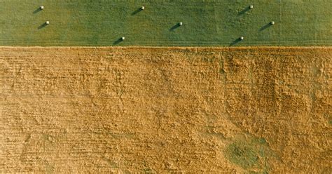 Baseball Field Pic 的图像结果