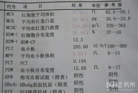 婚检报告单内容 要检查哪些-咨询-结婚大本营-杭州19楼