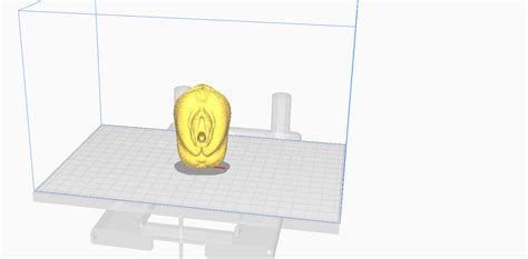 generate a vagina image