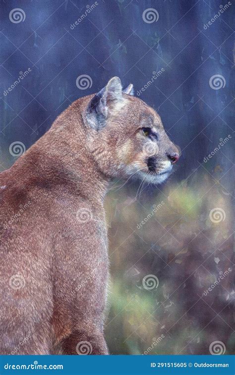 Cougar Side View,oil Painting Stock Illustration - Illustration of large, cougar: 291515605