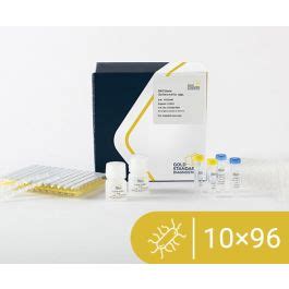BACGene Salmonella spp. 10x96