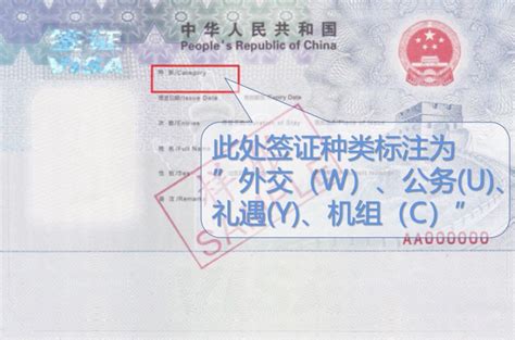 国外留学出国签证visa特写高清图片下载-正版图片501424346-摄图网