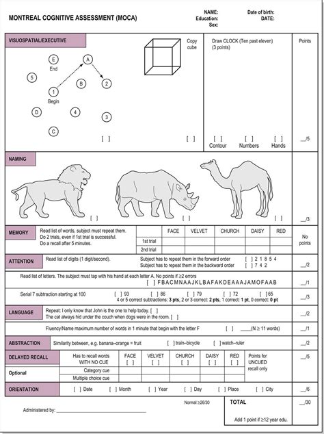 Neurocognitive Testing