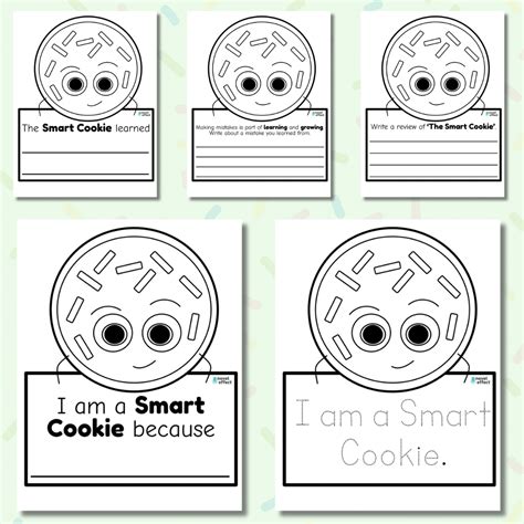 The Smart Cookie Activities - Novel Effect - Worksheets Library