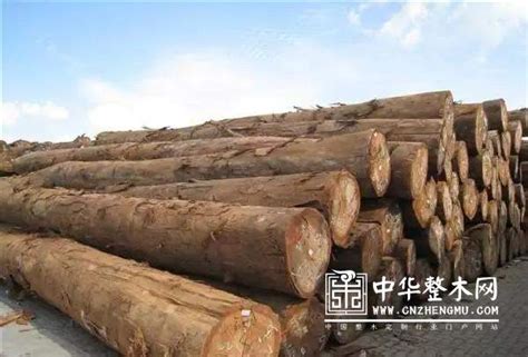 俄罗斯木材生意怎么做，当地有哪些木材交易市场_行业资讯_木头云
