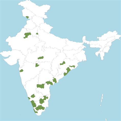 India Flora Online