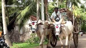 KONASEEMA TOUR - vtrips.in | Sai Tours & Travels - Domestic ...