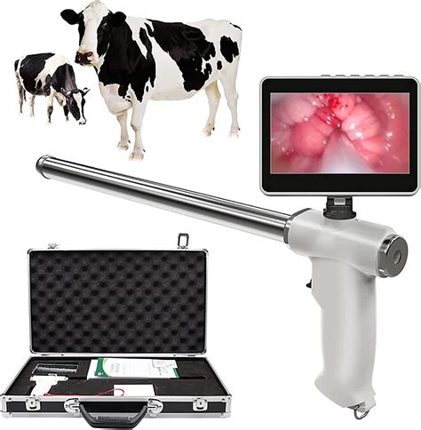 Artificial Insemination Gun for Cows Cattle, Visual Insemination Gun ...