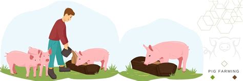 Duroc Pig Farming Guide: Raising this Valuable Meat-Improving Breed ...