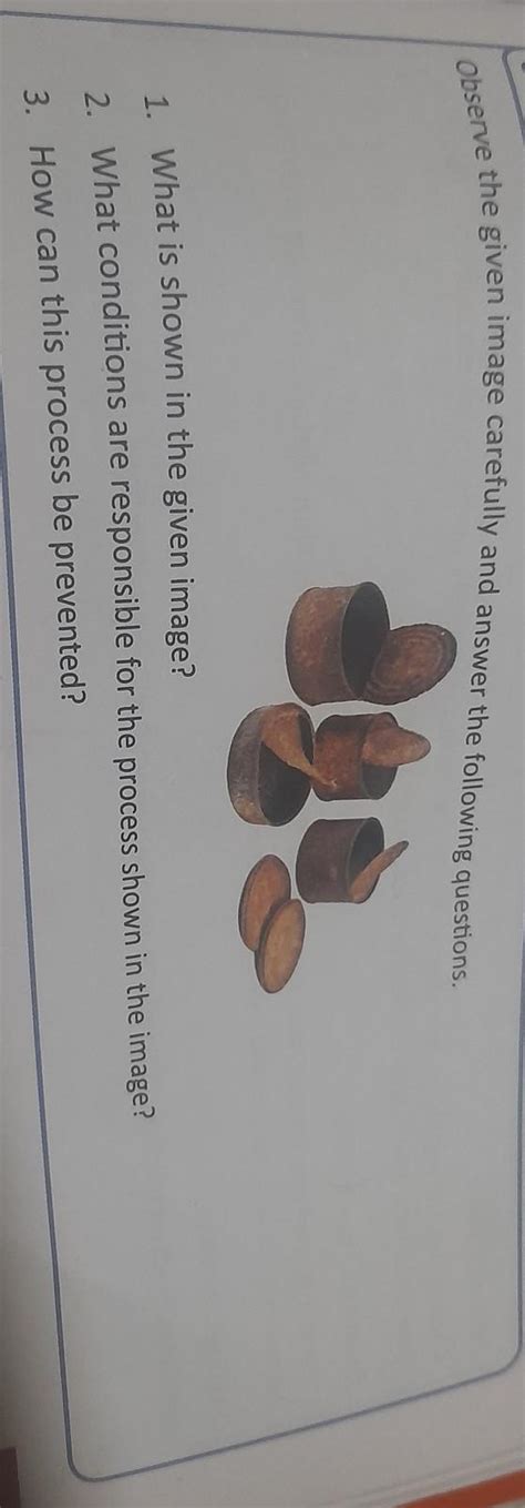 anybody give me the answer - Brainly.in
