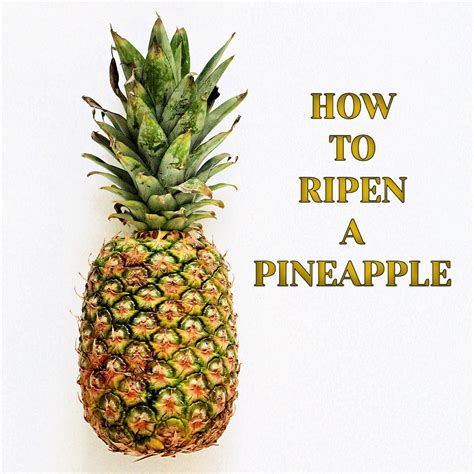 Pineapple Fruit